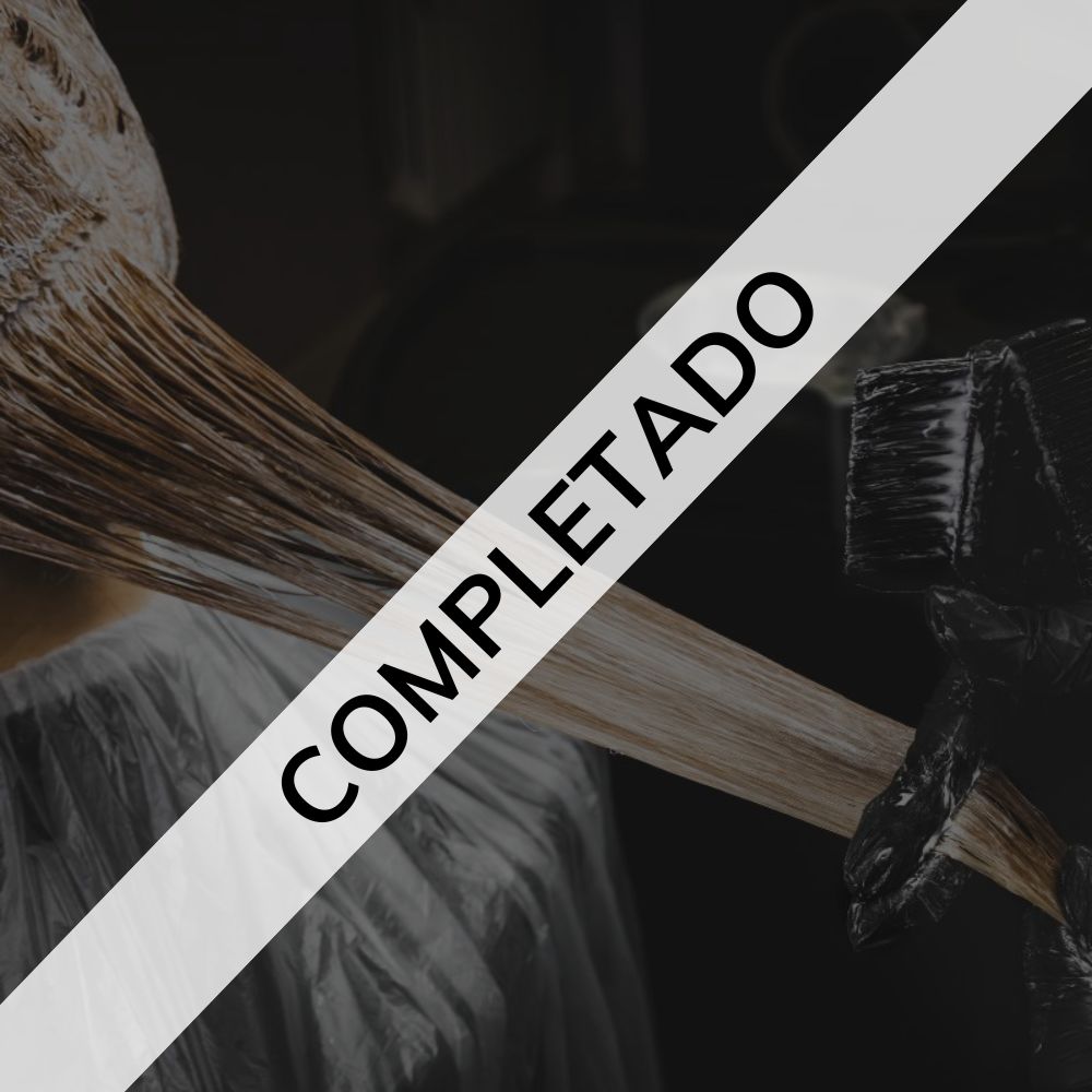 curso tecnicas mechas indola completado